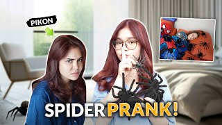 SPIDER REVENGE PRANK! | IVANA ALAWI