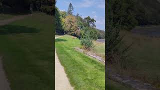 Marée basse #journeeseuropeennesdupatrimoine #abbaye #saintmaurice #lowtide #bretagne #nature