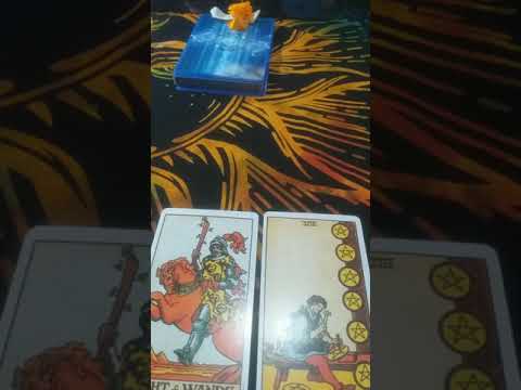 🎀PICK A PILE :DIVINE Messages for YOU🤗💚💙🦋|timeless reading| hindi tarot reading💜🙏💞| कलेक्टिव reading