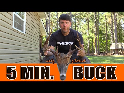 Fastest self-filmed whitetail bow hunt ever? [chocolate rack STUD!] | N1 Outdoors