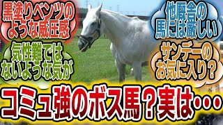 「メジロマックイーンってどういうタイプの気性難なの？」に対するみんなの反応【競馬の反応集】