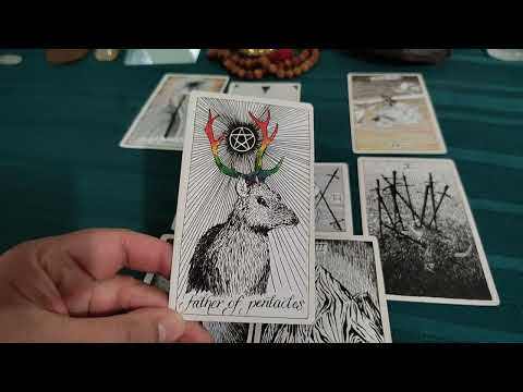 Capricorn ♑ November 2024 Tarot Reading