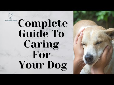 Complete Guide To CARING For Your Dog