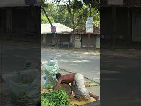 MOST FAKE TIGER SCARY PRANK ON WORKER MAN! | SAGOR BHUYAN #faketigerprank #shorts