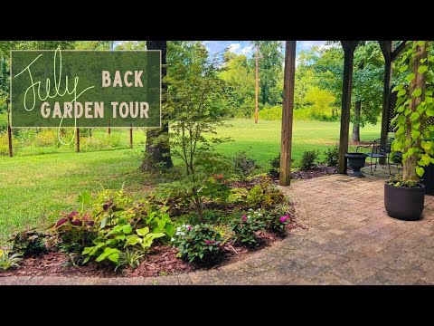 Reimagined Backyard July Garden Tour | From Drab To Fab & Loving It! | The Southern Daisy