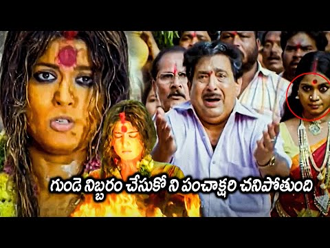 Panchakshari Movie Anushka Shetty God Scenes || Chandra Mohan || Jayavani || Matinee Show