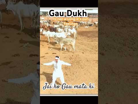 Gau Dukh ,,,is not a song it’s our feelings share in song .. Jai ho Gau mata ki #gaumata