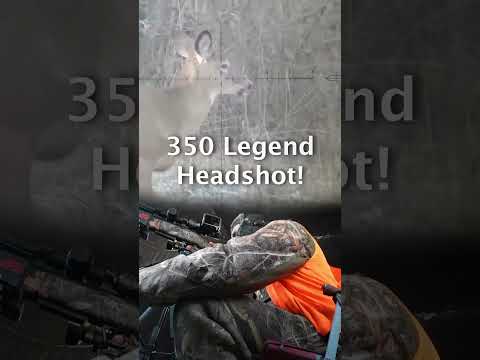 Deer Headshot #deerhunting #shorts