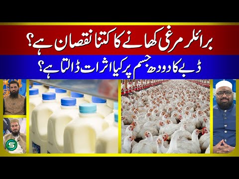 How Harmful Is Broiler Chicken? | Effects of Canned Milk on the Body