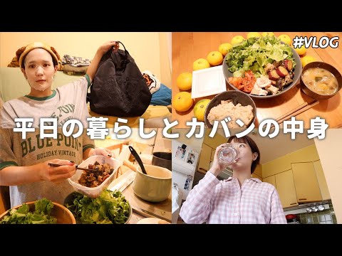 【会社員Vlog】朝から忙しなくて心落ち着かない平日/最近のバックの中身🧳/生産性の高い1日風