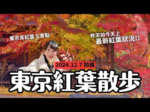 2024東京紅葉5景點散步🍁最新現況(2024.12.7) 六義園 小石川植物園 小石川後樂園 九品佛淨真寺 大田黑公園｜東京11月底12月初旅遊必去景點 4K VLOG