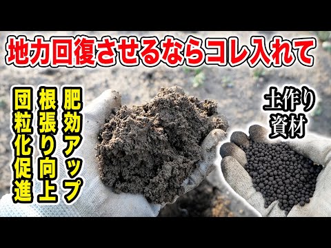 肥えた畑の土は〇〇が多いんです!入れる資材を紹介します【発根向上・地力回復・連作軽減・肥料節約】