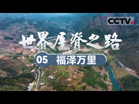 《世界屋脊之路》05 福泽万里：英雄筑路 70年前的壮丽史诗 跨越生命禁区的伟大工程！【CCTV纪录】