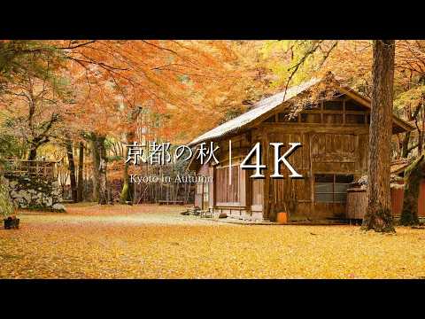 [Top 10 Autumn Leaves in Ayabe] Scenic Spots in Kyoto You Must Visit Before You Die - Kyoto in 4K