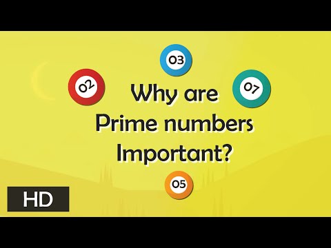 Why are prime numbers important? | Tell me why