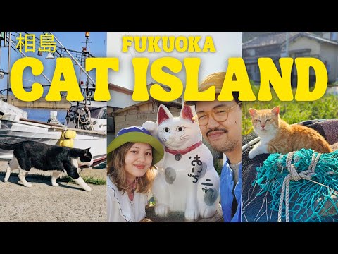 Visiting Japan's Cat Island 🇯🇵 Fukuoka Japan Vlog, Kyushu Travel, Ainoshima, Aoshima, Tashirojima