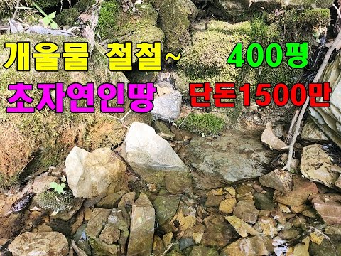 개울물 철철철~아무도 없는 아주 자연인 노리터/400평 단돈1500만원/정선토지/정선부동산매매