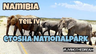 #LIVINGTHEDREAM  Folge 69 - Namibia | Etosha Nationalpark | Windhuk