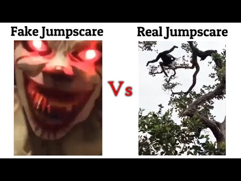 Fake Jumpscare Vs Real Jumpscare !! Memes #viralmemes #memes