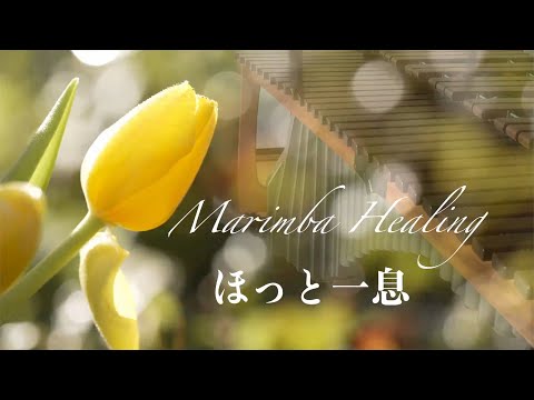 マリンバの響きに包まれる｜ヒーリングミュージック healing music｜癒しのひと時 ｜睡眠｜６０分  ※ヘッドホン・イヤホン・外部スピーカー推奨