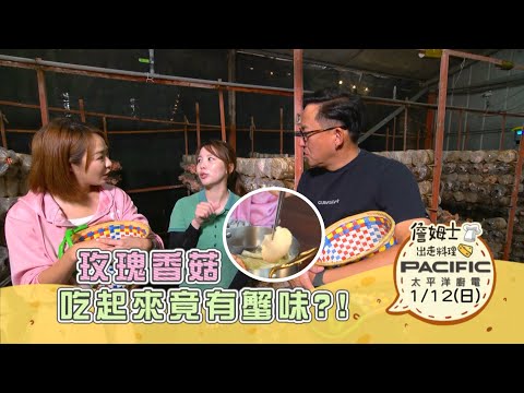 《精采預告》南投｜玫瑰香菇 吃起來竟有蟹味?!-第293集-2025/1/12