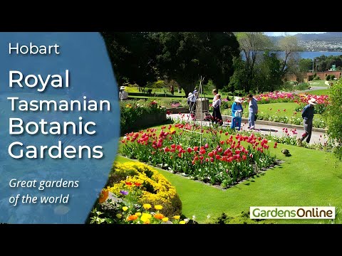 Royal Tasmanian Botanic Gardens - Hobart