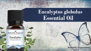 Eucalyptus Globulus Essential Oil