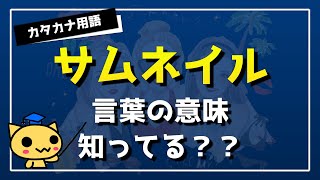 Youtube サムネイルとは？ サムネイルってどんな意味？重要？ 【 知っているようで知らないカタカナ用語その① 】