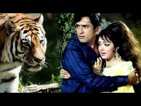 शशि कपूर ने हेमा मालिनी को शेर से बचाया | Abhinetri | Shashi Kapoor, Hema Malini