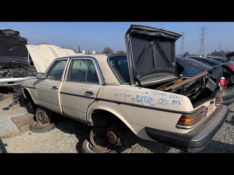 1978 Mercedes-Benz W123 300D at Junkyard