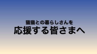 猫猫との暮らしさんを応援する皆さまへ