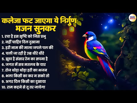 कलेजा फट जाएगा ये निर्गुण भजन सुनकर | Nirgun Bhajan | Satsangi Bhajan | Nonstop Bhajan