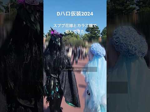 【Vlog】Dハロ仮装2024｜スプブ花嫁とカラス嬢で遊んできた#dハロ仮装 #dハロ仮装2024 #ディズニーランド #スプーキーboo #スプーキーブー #スプブ #スプブダンサー