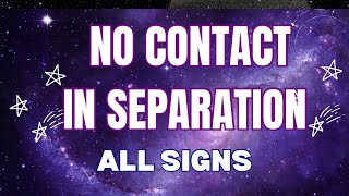 ALL SIGNS: NO CONTACT 💔IN SEPARATION Timeless Divine Tarot Love