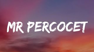 NOAH CYRUS - MR. PERCOCET ( LYRICS )