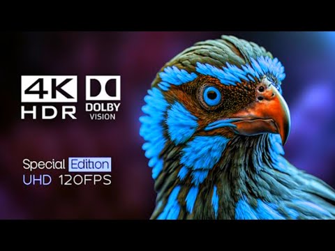 4K 60FPS Dolby Vision / Ultra HDR Natural Beauty