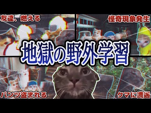 【実話】野外学習が地獄と化した話【猫ミーム】