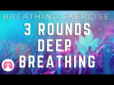 Powerful Nose Deep Breathing Exercises | 3 Rounds | TAKE A DEEP BREATH