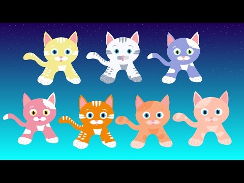 Seven Kittens - Little Blue Globe Band - a lullaby for babies, toddlers, children, and grown-ups