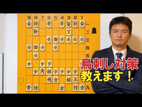 【対策を知らない方は注意！】鳥刺し対策vol.122