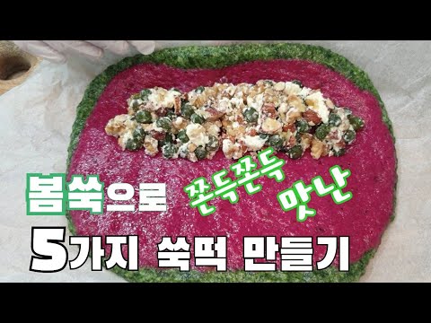 몸을 따뜻하게 해주는 봄쑥으로 쫀득쫀득 맛있는 쑥떡~  쉽고 간단하게 만드는방법