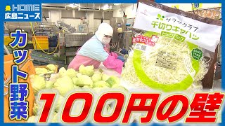 2024年のキーワード「物価高」｜カット野菜工場を取材して見えてきた「１００円の壁」とは…