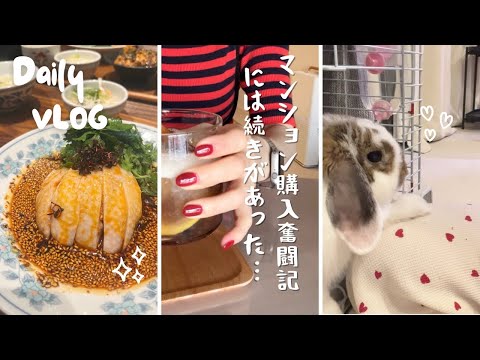 【40代独身女子vlog】よだれ鶏ランチ/うさぎさんのナイトルーティン/Vlog