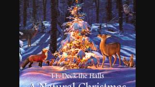 NatureQuest - Deck the Halls