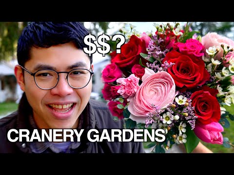 I Made $___ Selling Valentine's Bouquets, Hoop House & Cool Flowers Updates