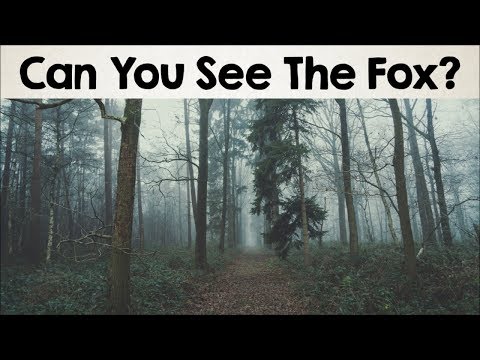 Nobody Can See All The Hidden Animals । Optical Illusions । Brain Teasers [#2]