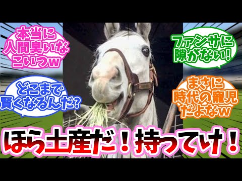 【ゴルシ】こんな寒い中よー来たな！に対するみんなの反応集【競馬】