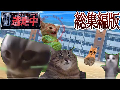 猫ミーム版逃走中 総集編版【猫ミーム】【猫マニ】