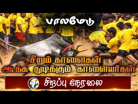 🔴LIVE: Palamedu Jallikattu Non-Stop Live | Chanakyaa | பாலமேடு ஜல்லிக்கட்டு | Pongal 2025