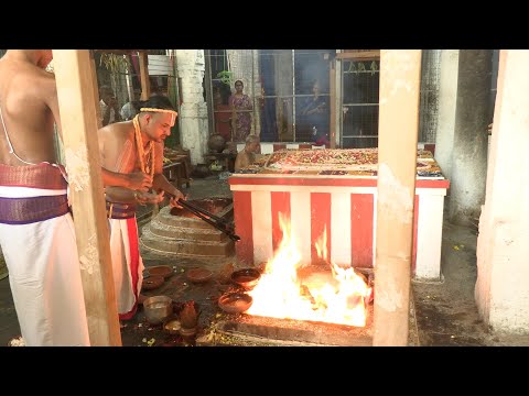 Kanchi Varadarajan - Pavithrothsavam 2024  Day 07 - Poornahufhi_53m 58s  (4K)